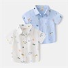 WELLKIDS Руашка tx2367 64295878027539264