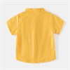 WELLKIDS Рубашка tx2530 71535376841250304