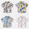 WELLKIDS Рубашка tx2502 71144583227622176