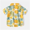 WELLKIDS Рубашка  tx2410 66961395734914816