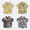 WELLKIDS Рубашка  tx2410 66961395734933904