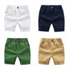 WELLKIDS Шорты kz2710 58663791458812088