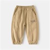 WELLKIDS Штаны  kz3496 102808