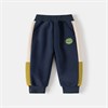 WELLKIDS Штаны  kz3503 102815