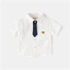 WELLKIDS Рубашка 	 tx2705 102823
