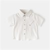 WELLKIDS Рубашка 	 tx2684 102829