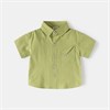 WELLKIDS Рубашка 	 tx2684 102831