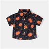 WELLKIDS Рубашка 	 tx2689 102838
