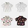 WELLKIDS Рубашка 	 tx2689 102838