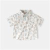 WELLKIDS Рубашка 	 tx2689 102841