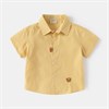WELLKIDS Рубашка  tx2591 102844