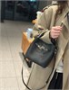 DOLAND LION  Сумка женская / кожа /   261 116694