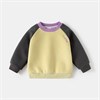 WELLKIDS Толстовка   wt1993 144179