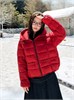 Cute Woman Куртка с капюшоном  010-851 144572