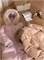 Cute Woman Пуховик-пальто  036-F03 146013