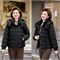 Cute Woman Куртка с капюшоном  001-B69 146074