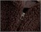 Cute Woman Жилет из овечьей шерсти с капюшоном  026-A02 146485