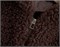 Cute Woman Жилет из овечьей шерсти с капюшоном  026-A02 146486