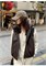Cute Woman Жилет из искусственной кожи  026-A10 146499
