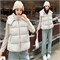Cute Woman Жилет с капюшоном  016-2603 146524